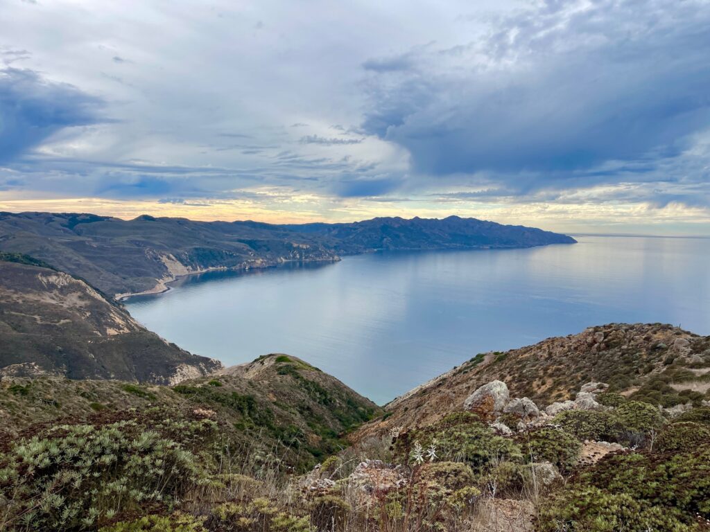 Santa Cruz Island California 2024