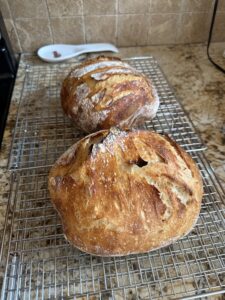Bread