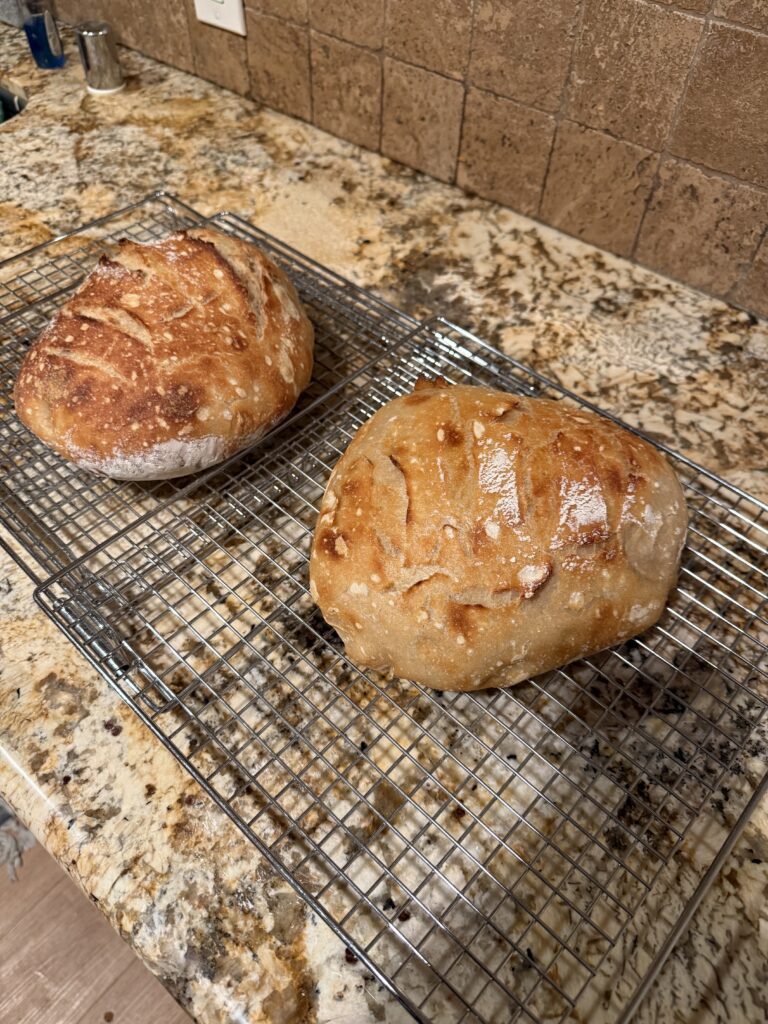 Bread